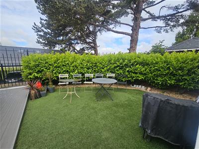 Picture 13